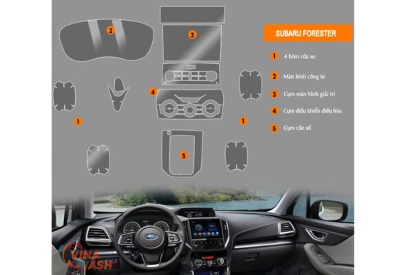 Vị trí Dán PPF nội thất xe Subaru Forester