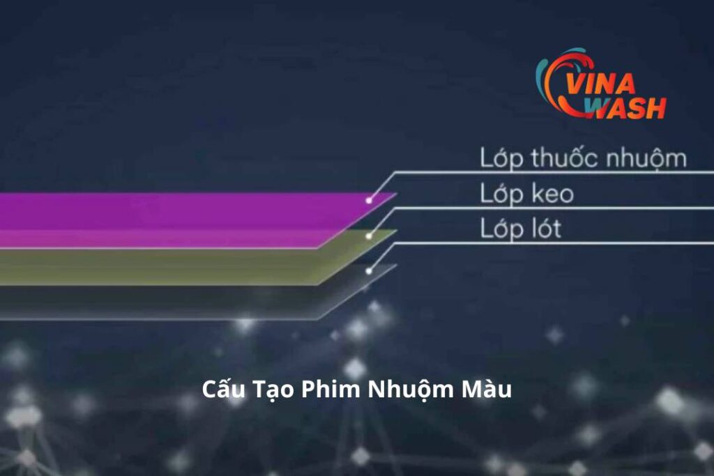 Cấu tạo dòng phim nhuộm màu 