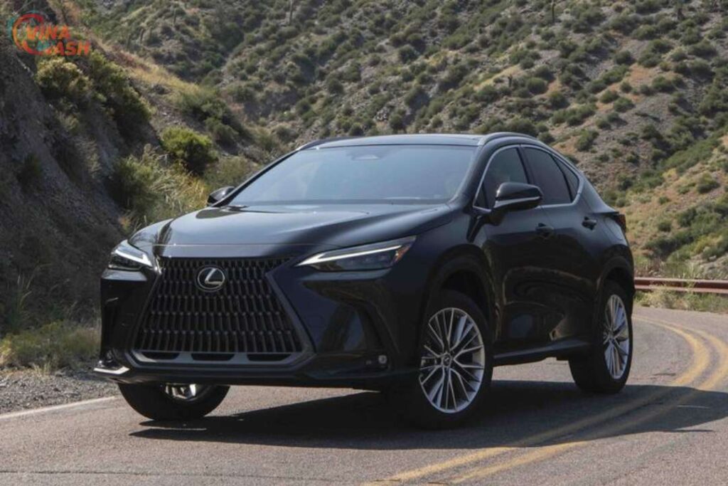 Cập nhật giá xe Lexus NX mới nhất tại Việt Nam 2024