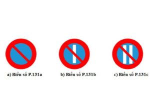 Biến thể của P.131