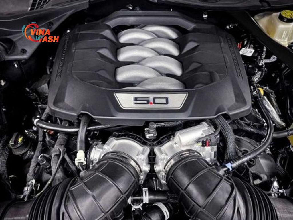 Bản mui trần (Convertible): Động cơ Coyote V8 5.0L hút khí tự nhiên, hộp số sàn 6 cấp hoặc tự động. Công suất đạt 760 mã lực, mô-men xoắn cực đại 625Nm.