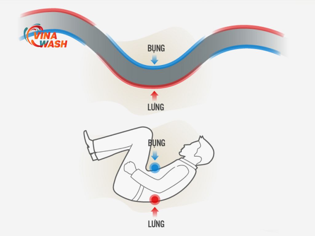Phân biệt lưng và bụng tương tự giữa hình dáng người và đường đi