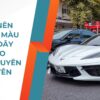 Tại sao nên chọn xe màu trắng? Đây là 7 lý do được chuyên gia khuyên dùng