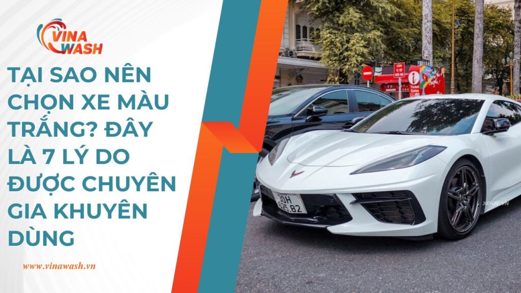 Tại sao nên chọn xe màu trắng? Đây là 7 lý do được chuyên gia khuyên dùng