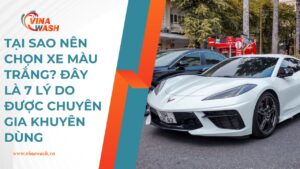 Tại sao nên chọn xe màu trắng? Đây là 7 lý do được chuyên gia khuyên dùng