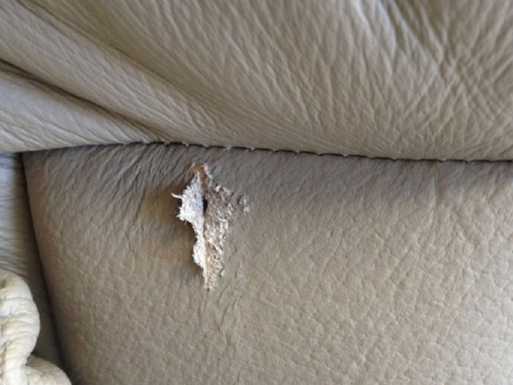 Bọc ghế da ô tô giá rẻ dễ bong tróc, xuống cấp nhanh.