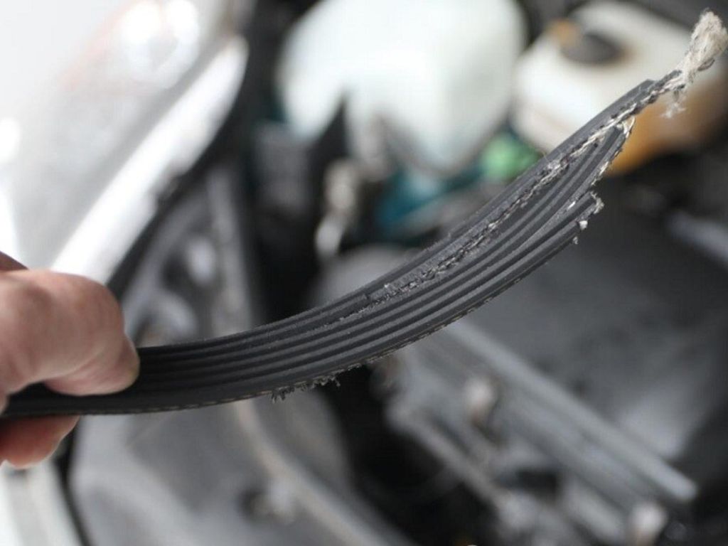 Dây curoa ô tô bị trùng và mòn rách nghiêm trọng, cần thay thế để tránh hỏng hóc hệ thống truyền động