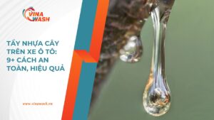 Hướng dẫn 9+ cách tẩy nhựa cây trên xe ô tô an toàn, hiệu quả.