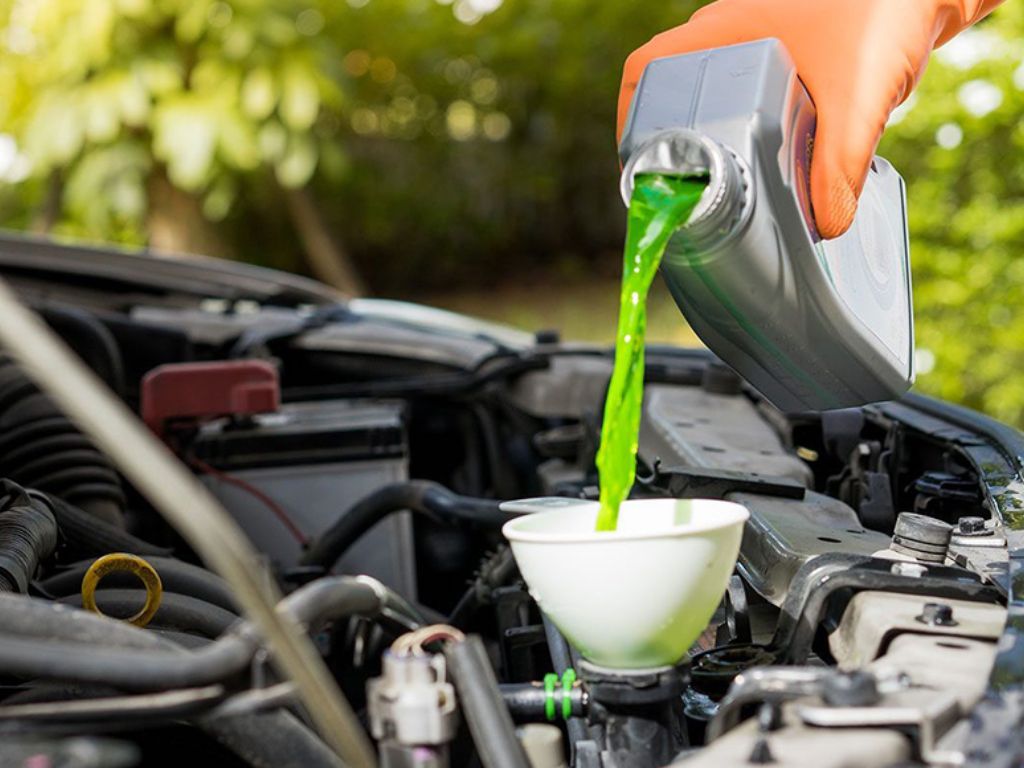 Đổ dung dịch làm mát động cơ sau khi kiểm tra nước làm mát ô tô và phát hiện mức nước thấp.